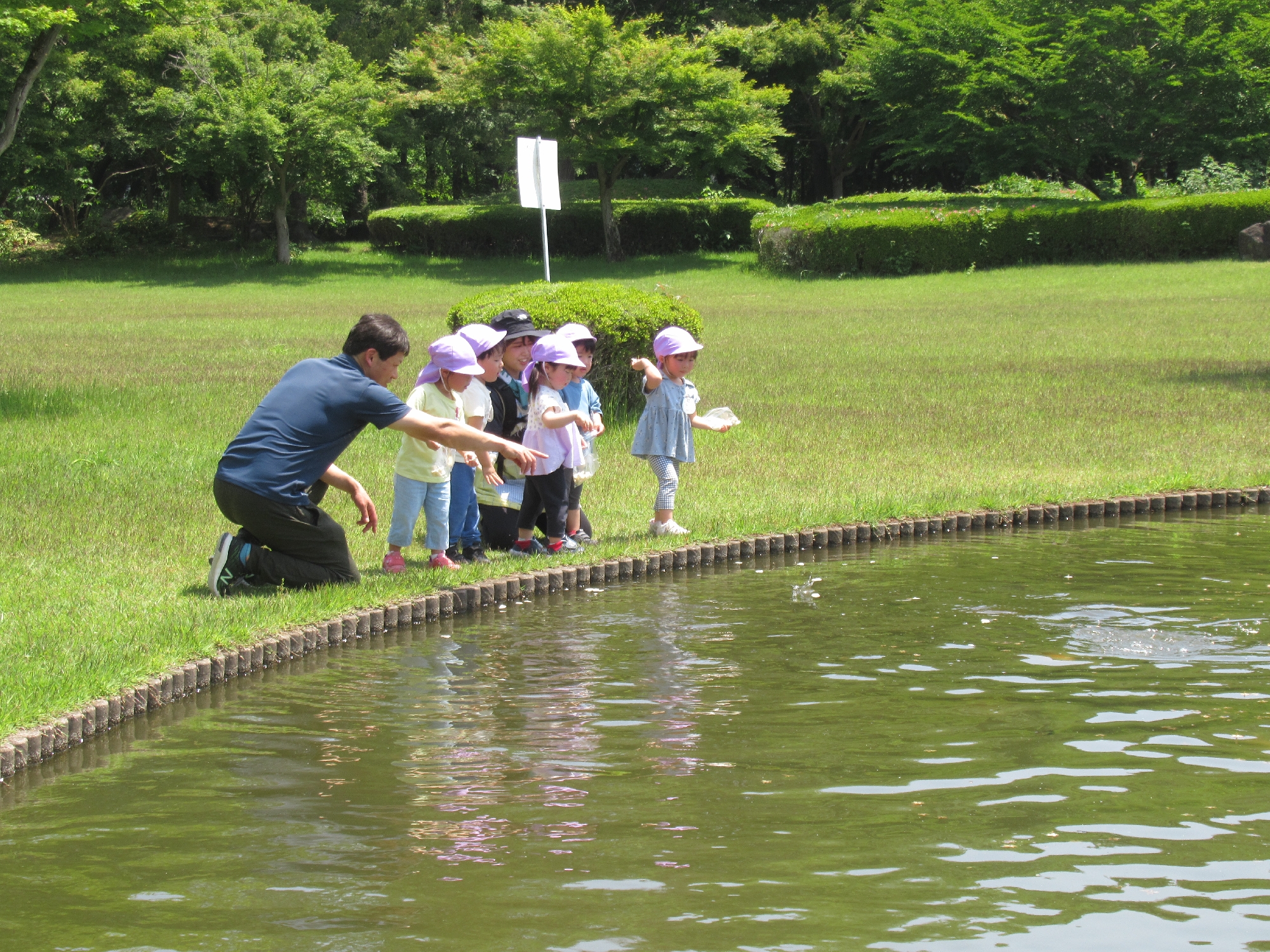 自然とのふれあい教育について（情操教育)