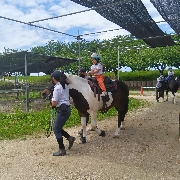 年少ポニー乗馬