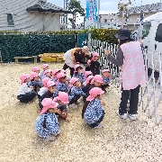 今日の保育