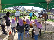 もも組ポニー乗馬