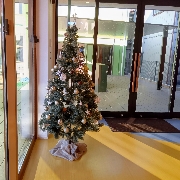 クリスマスツリー🎄