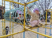 もも組丸林公園