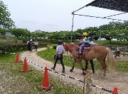年長ポニー乗馬