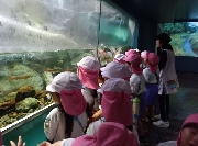 年少・ももさいたま水族館